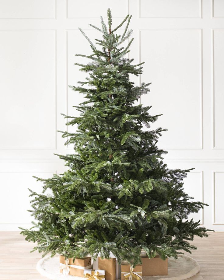 Sapin de noël Nordmann