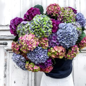 Bouquet cadeau plaisir hortensia anniversaire retraite départ remerciements Livraison Le Mans gratuite et envoi en France Chronopost