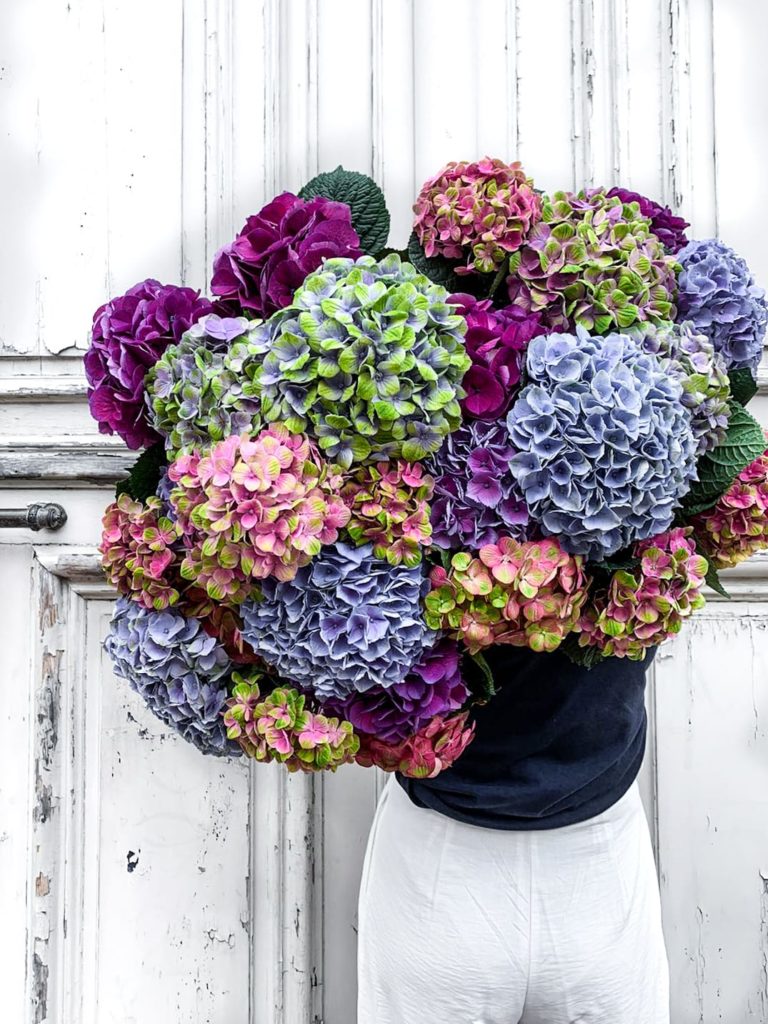 Bouquet cadeau plaisir hortensia anniversaire retraite départ remerciements Livraison Le Mans gratuite et envoi en France Chronopost