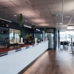 Plantes bureaux