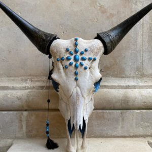 Tête de vache