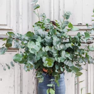 Bouquet cadeau plaisir vert eucalyptus anniversaire retraite départ remerciements Livraison Le Mans gratuite et envoi en France Chronopost