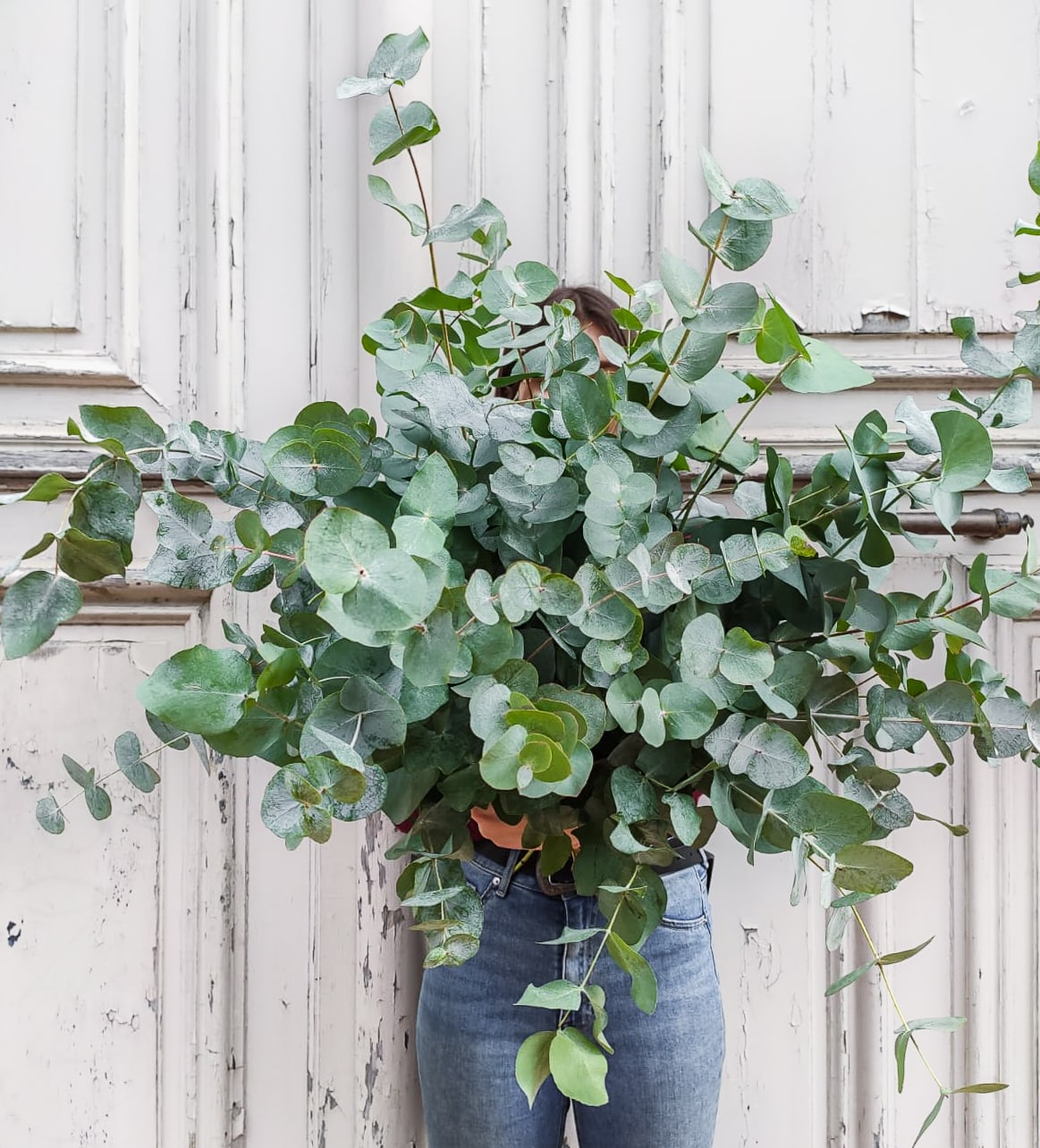 Bouquet cadeau plaisir vert eucalyptus anniversaire retraite départ remerciements Livraison Le Mans gratuite et envoi en France Chronopost