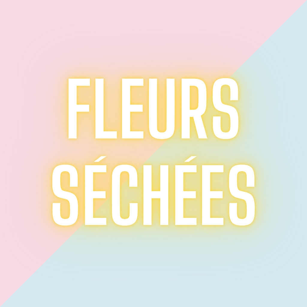 Fleurs séchées