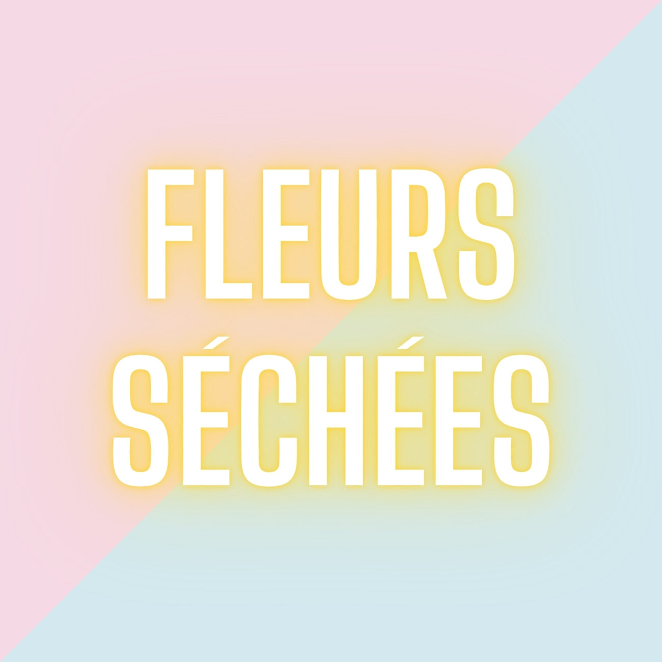Fleurs séchées