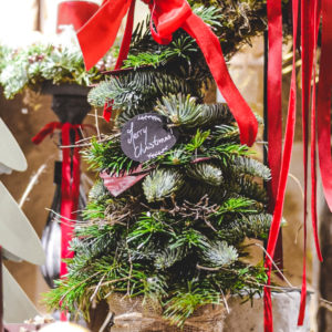 Sapin
