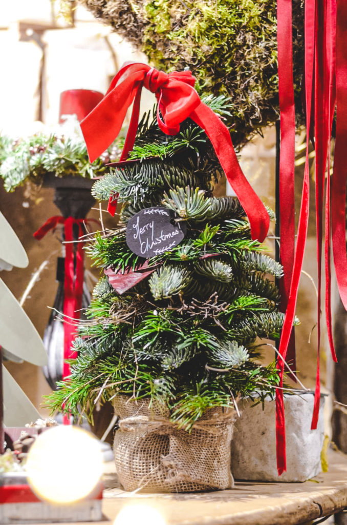 Sapin