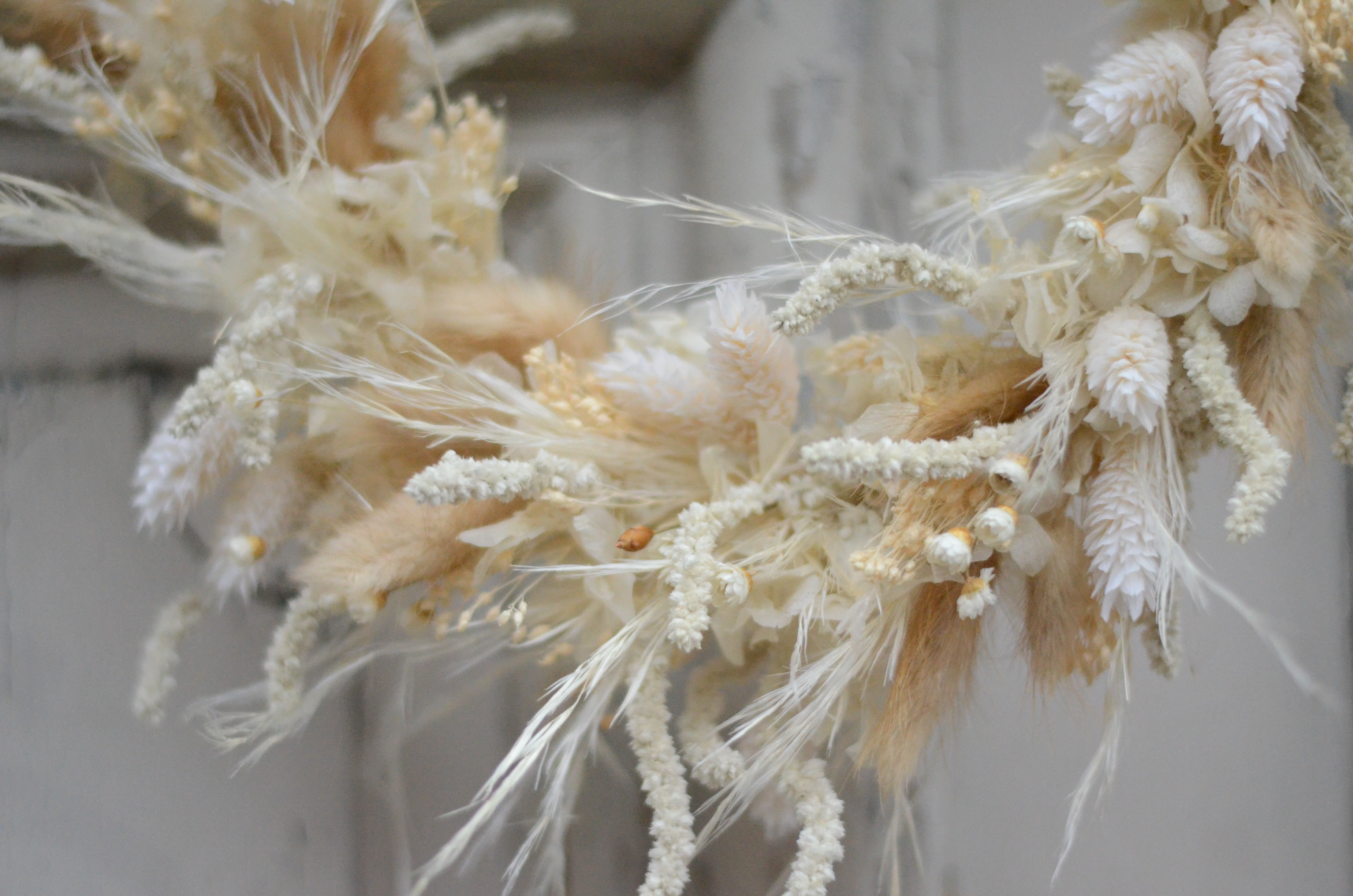 couronne blanches