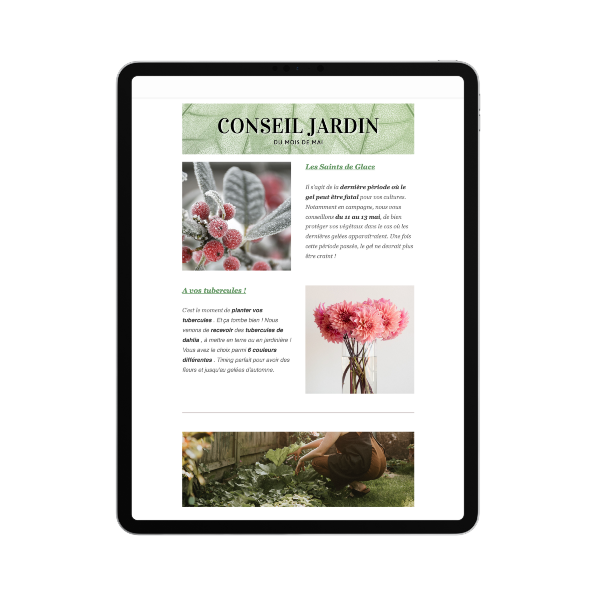 Retrouvez la newsletter et tous nos conseils pour aménager et entretenir votre jardin