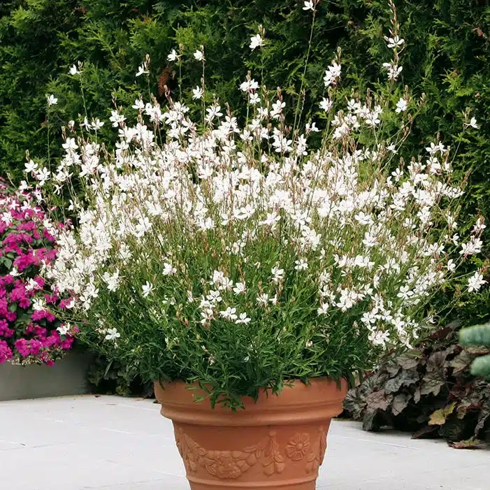 Bouquet de fleurs fraîches - Atelier Armelle Alleton, fleuriste au Mans
