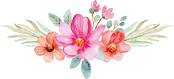 Armelle Alleton - Séparateur fleurs site internet